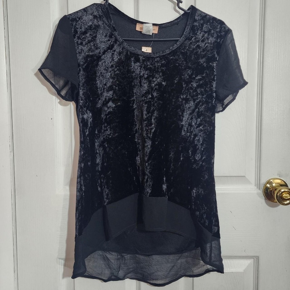 Black Velvet Sheer Short Sleeved Blouse